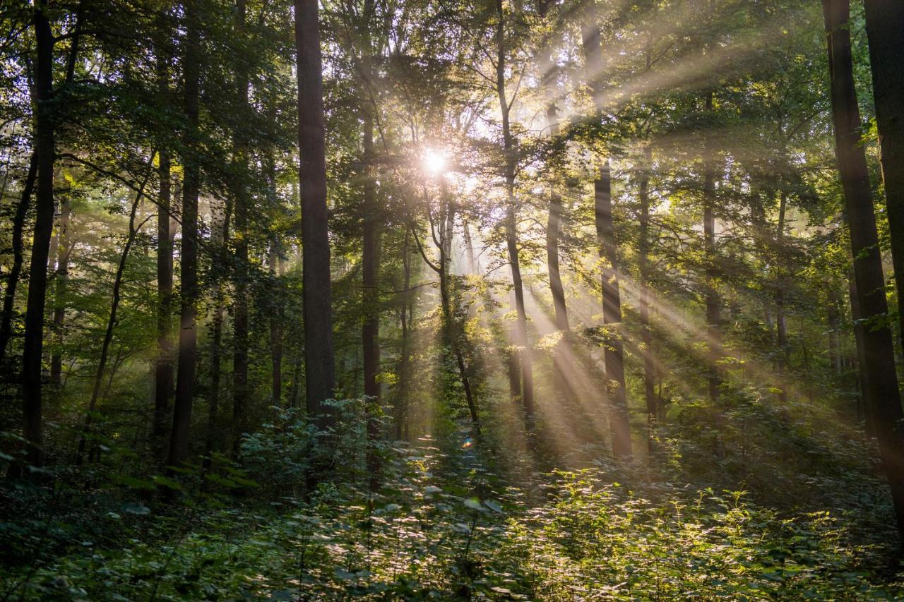 Ferienwohnungen Vulkaneifel Nickenich Buitenkant foto