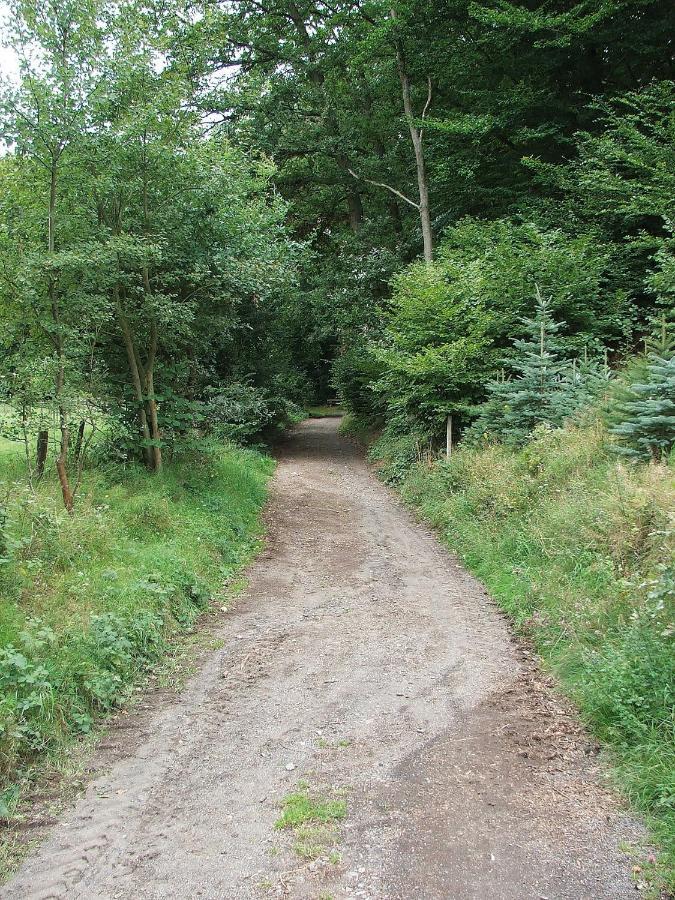 Ferienwohnungen Vulkaneifel Nickenich Buitenkant foto